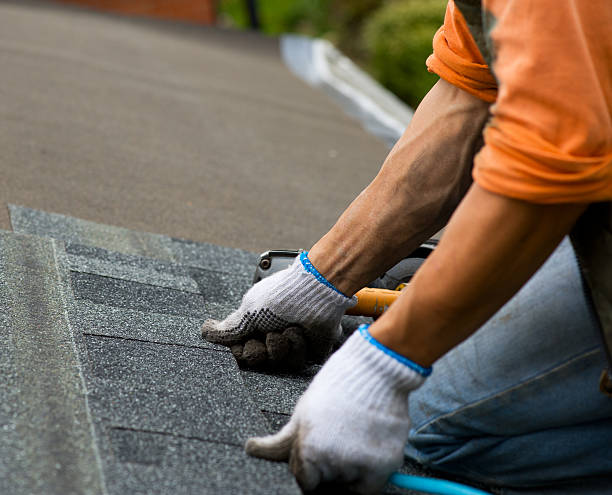 Best Flat Roof Repair Services  in Clendon, AR