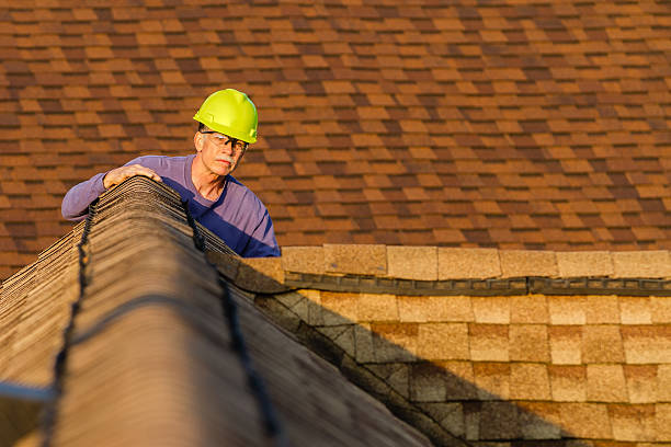 Best Roof Leak Repair  in Clendon, AR