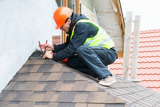 Best Metal Roofing Contractor  in Clendon, AR
