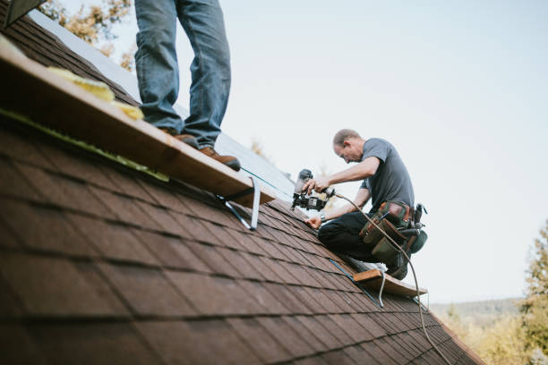 Best Gutter Installation and Roofing  in Clendon, AR